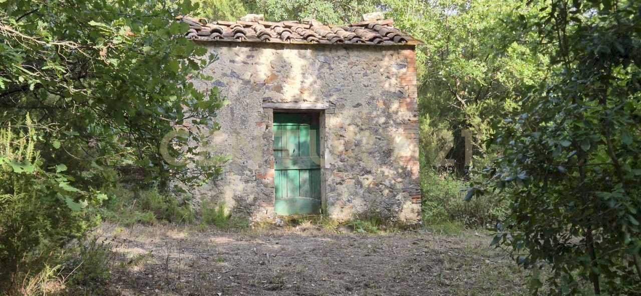 foto 1.jpeg - Rustico località vignaccia, Civitella Paganico - foto 2