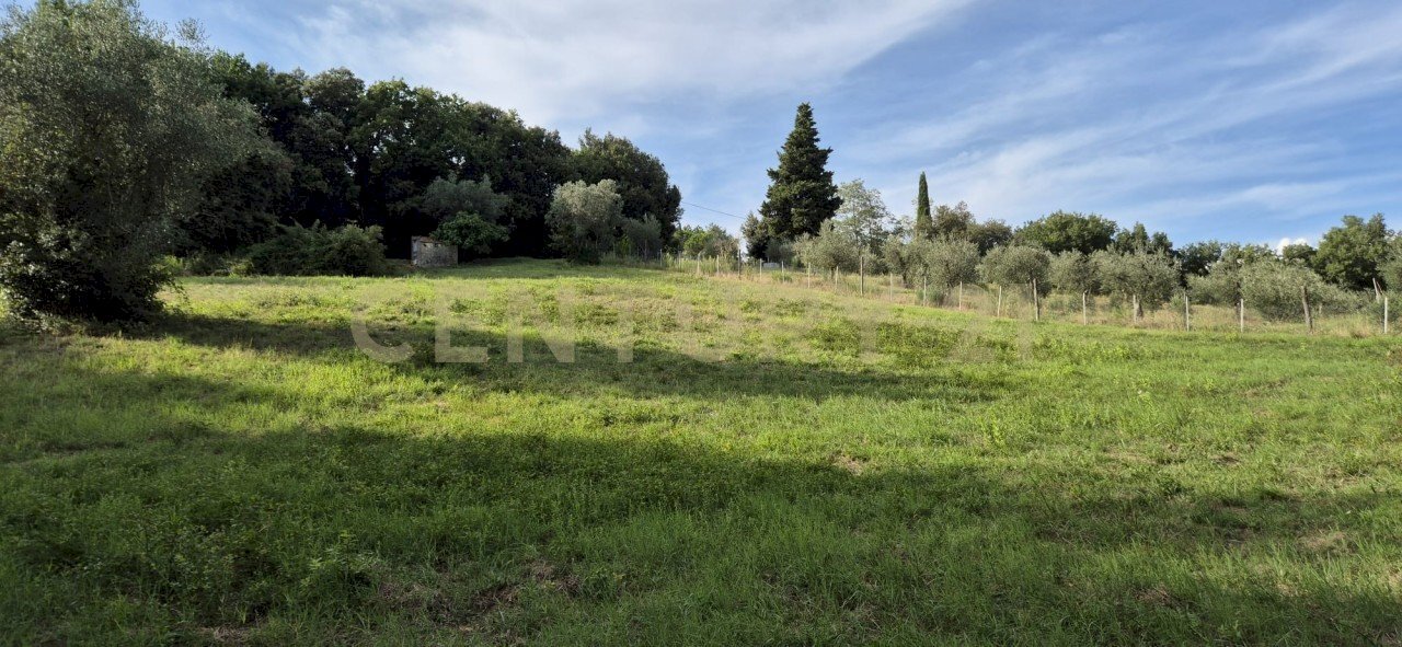 foto 2.jpeg - Rustico località vignaccia, Civitella Paganico - foto 3