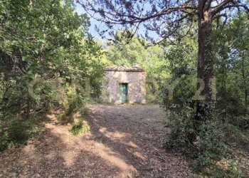 foto 4.jpeg - Rustic località vignaccia, Civitella Paganico - photo 1