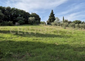 foto 2.jpeg - Rustic località vignaccia, Civitella Paganico - photo 3