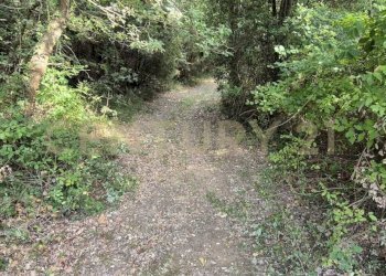 foto 3.jpeg - Rustic località vignaccia, Civitella Paganico - photo 4