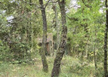 foto 8.jpeg - Rustic località vignaccia, Civitella Paganico - photo 8