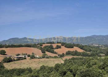 foto 1 cornacchiaio.jpeg - Terreno agricolo località cornacchiaio snc, Civitella Paganico - foto 1