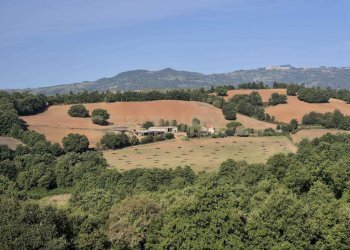 foto 2 cornacchiaio.jpeg - Terreno agricolo località cornacchiaio snc, Civitella Paganico - foto 2
