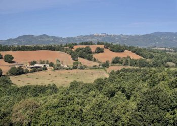 foto 3 cornacchiaio.jpeg - Terreno agricolo località cornacchiaio snc, Civitella Paganico - foto 3