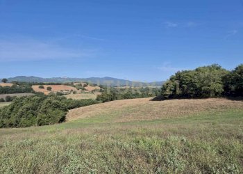 foto 5 cornacchiaio.jpeg - Terreno agricolo località cornacchiaio snc, Civitella Paganico - foto 5