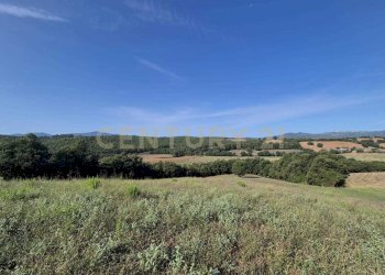 foto 6 cornacchiaio.jpeg - Terreno agricolo località cornacchiaio snc, Civitella Paganico - foto 6