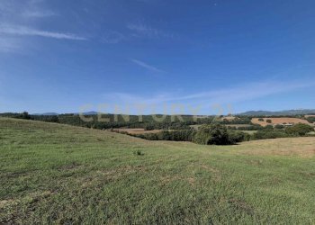 foto 7 cornacchiaio.jpeg - Terreno agricolo località cornacchiaio snc, Civitella Paganico - foto 7