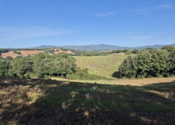 foto 8 cornacchiaio.jpeg - Terreno agricolo località cornacchiaio snc, Civitella Paganico - foto 8