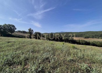 foto 9 cornacchiaio.jpeg - Terreno agricolo località cornacchiaio snc, Civitella Paganico - foto 9