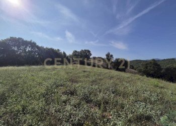 foto 10 cornacchiaio.jpeg - Terreno agricolo località cornacchiaio snc, Civitella Paganico - foto 10