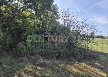 foto 12 cornacchiaio.jpeg - Terreno agricolo località cornacchiaio snc, Civitella Paganico - foto 12