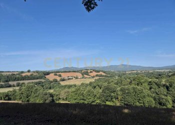 foto 13 cornacchiaio.jpeg - Terreno agricolo località cornacchiaio snc, Civitella Paganico - foto 13