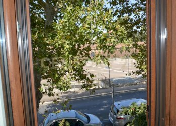 DSC_0801.JPG - Villa Via Alfredo Catalani 5, Grosseto - foto 19