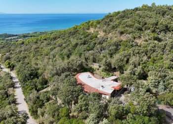 DALL_ALTO PIZZIOLO.jpg - Villa via degli olivi  15, Castiglione della Pescaia - foto 2