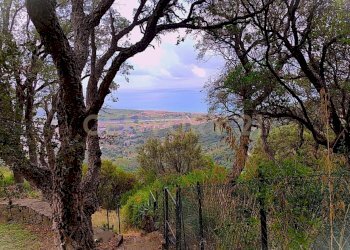 PRIMA FOTO 1.jpeg - Villa via degli olivi  15, Castiglione della Pescaia - foto 1