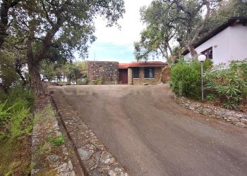 ing strada.jpeg - Villa via degli olivi  15, Castiglione della Pescaia - foto 4