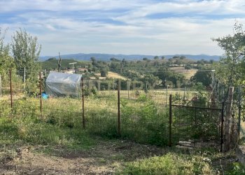 IMG_6119.jpg - Terratetto - Terracielo Via G. Matteotti, Semproniano - foto 23