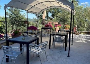 IMG_6504.JPG - Albergo - Struttura ricettiva Località Poggio Murella 179, Manciano - foto 5