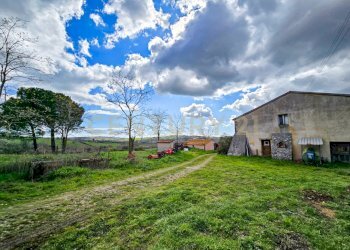 Casale 1700-09.jpg - Casale località mandorlaie, Scansano - foto 4