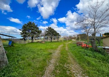 Casale 1700-11.jpg - Casale località mandorlaie, Scansano - foto 9