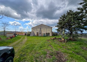 Casale 1700-08.jpg - Casale località mandorlaie, Scansano - foto 12