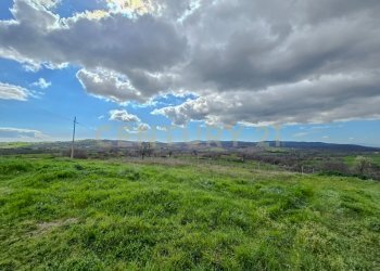 Casale 1700-13.jpg - Casale località mandorlaie, Scansano - foto 13