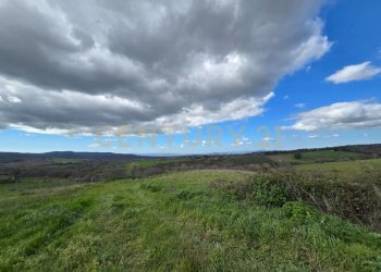 Casale 1700-14.jpg - Casale località mandorlaie, Scansano - foto 14