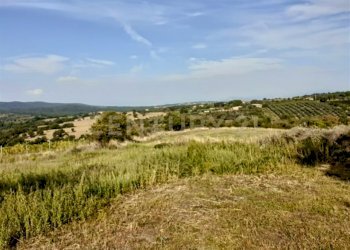 Casale 1700-21.jpg - Casale località mandorlaie, Scansano - foto 15