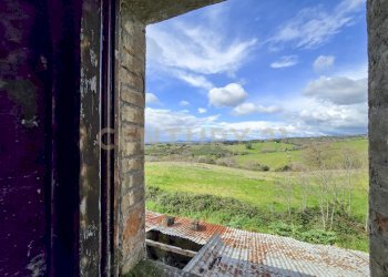 Casale 1700-04.jpg - Casale località mandorlaie, Scansano - foto 23