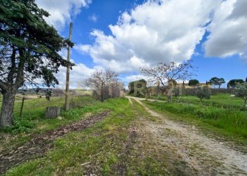 Casale 1700-10.jpg - Casale località mandorlaie, Scansano - foto 24