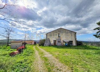 Casale 1700-12.jpg - Casale località mandorlaie, Scansano - foto 25