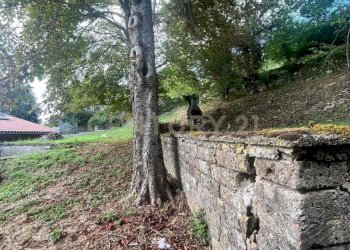 PHOTO-2025-08-27-19-57-17 (11).jpg - Terratetto - Terracielo Via Firenze, Semproniano - foto 19