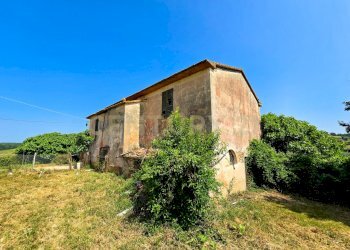 Casale Cecchettini-13.jpg - Casale Via del Madonnino 1954, Roccastrada - foto 1