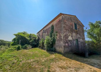 Casale Cecchettini-12.jpg - Casale Via del Madonnino 1954, Roccastrada - foto 2