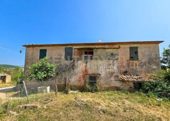 Casale Cecchettini-14.jpg - Casale Via del Madonnino 1954, Roccastrada - foto 3