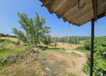 Casale Cecchettini-11.jpg - Casale Via del Madonnino 1954, Roccastrada - foto 14