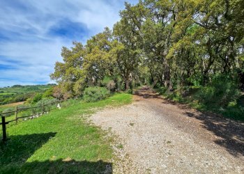 Casale Manca-19.jpg - Casale podere le rocchette snc, Roccastrada - foto 19