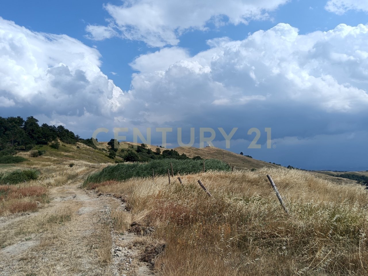 IMG_20250717_160849.jpg - Building land Località Podere Scarpetta 90, Radicofani - photo 2