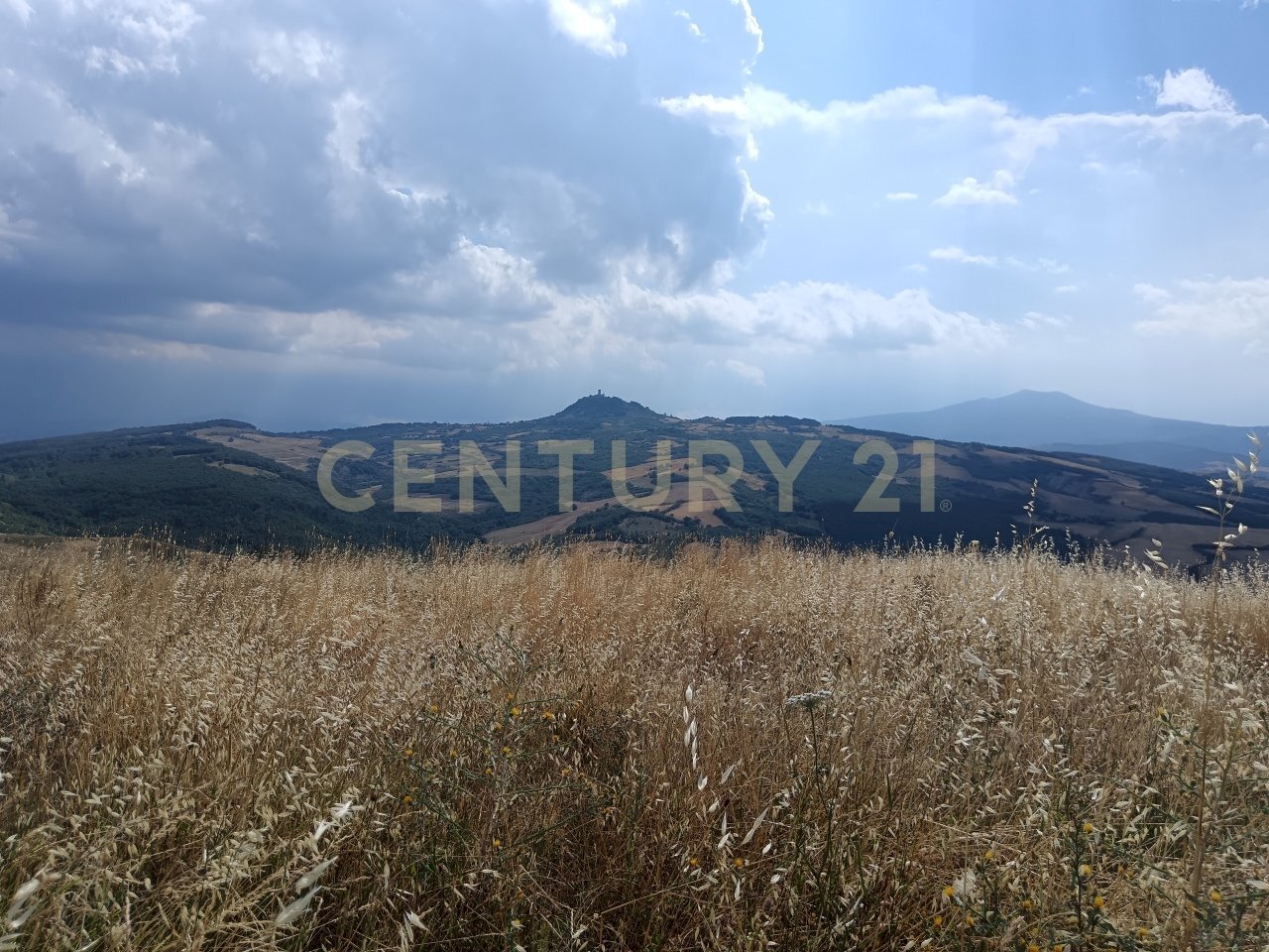 IMG_20250717_160906.jpg - Building land Località Podere Scarpetta 90, Radicofani - photo 3