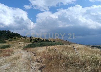 IMG_20250717_160849.jpg - Terreno edificabile Località Podere Scarpetta 90, Radicofani - foto 2