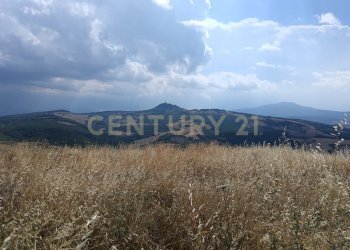 IMG_20250717_160906.jpg - Terreno edificabile Località Podere Scarpetta 90, Radicofani - foto 3