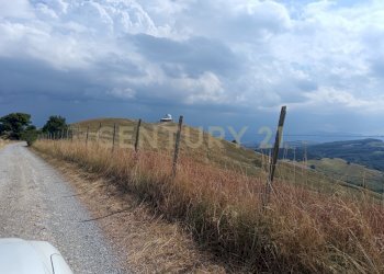 IMG_20250717_161811.jpg - Terreno edificabile Località Podere Scarpetta 90, Radicofani - foto 4