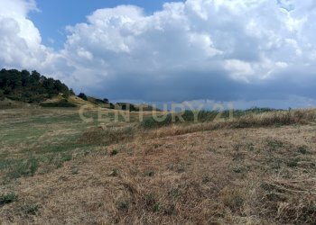 IMG_20250717_160620.jpg - Terreno edificabile Località Podere Scarpetta 90, Radicofani - foto 5