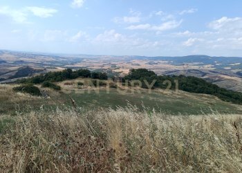 IMG_20250717_161019.jpg - Terreno edificabile Località Podere Scarpetta 90, Radicofani - foto 6