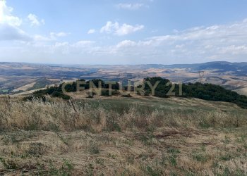 IMG_20250717_160426.jpg - Terreno edificabile Località Podere Scarpetta 90, Radicofani - foto 7