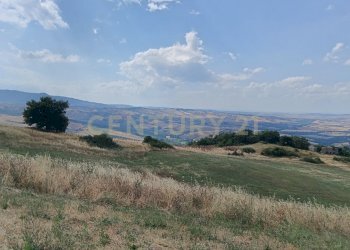 IMG_20250717_160521.jpg - Terreno edificabile Località Podere Scarpetta 90, Radicofani - foto 8