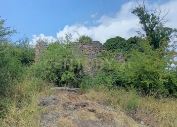 IMG_20250717_154743.jpg - Terreno edificabile Località Podere Scarpetta 90, Radicofani - foto 9