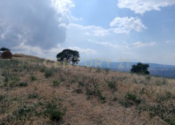 IMG_20250717_160543.jpg - Terreno edificabile Località Podere Scarpetta 90, Radicofani - foto 10