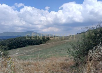 IMG_20250717_160111.jpg - Terreno edificabile Località Podere Scarpetta 90, Radicofani - foto 11